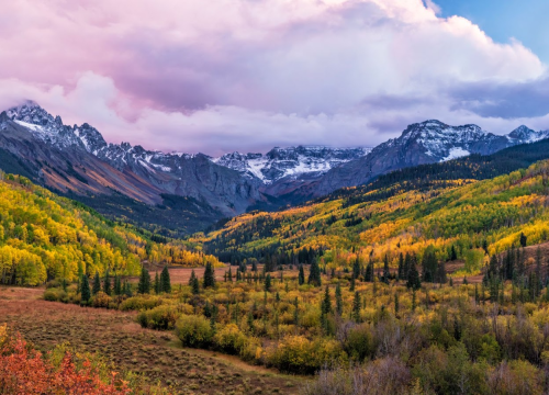 Beautiful fall colors on aspen tree glens below the San Juan Mountain range's snowy peaks near Chipeta Lodge Resort + Spa