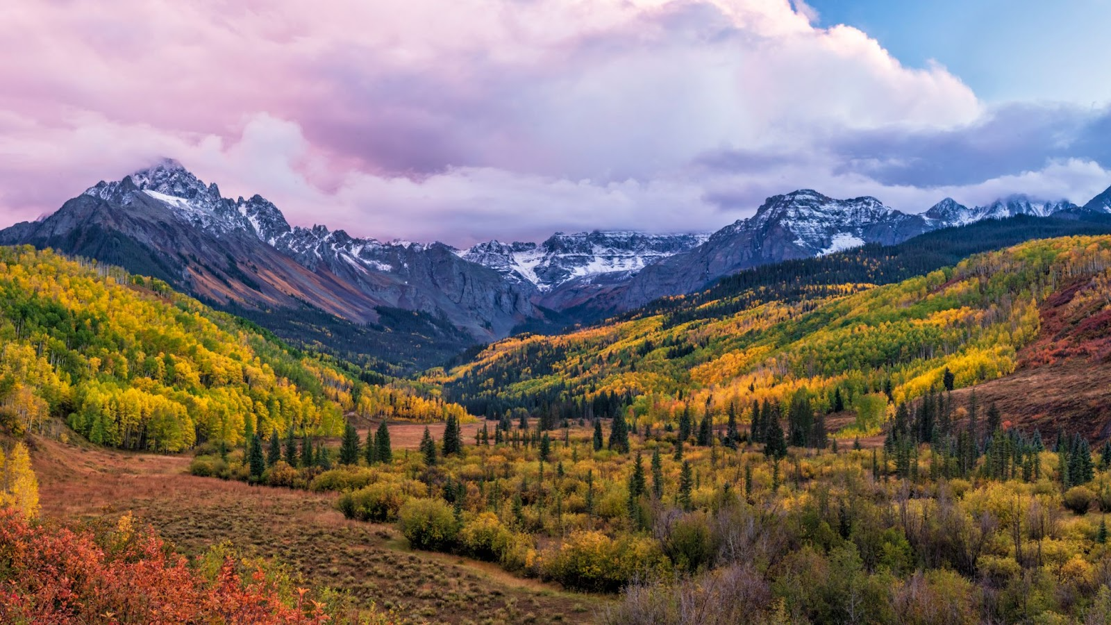 Beautiful fall colors on aspen tree glens below the San Juan Mountain range's snowy peaks near Chipeta Lodge Resort + Spa
