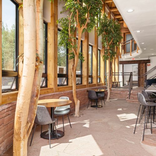 Sun Lounge - The Perfect Work/Coffee Space