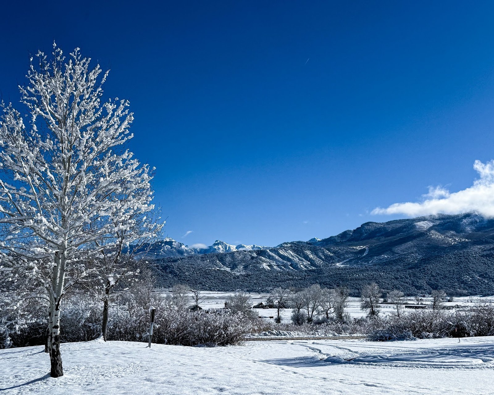 Snowy San Juan Mountain Range viewed from Ridgway CO near Chipeta Lodge Resort + Spa