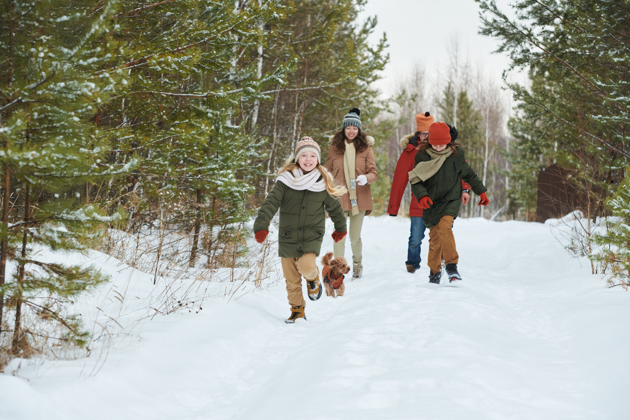 Family with Children Walking Dog through Snowy Forest Trail - Chipeta Lodge Resort + Spa Family with dog walking in snowy woods near Chipeta Lodge Resort + Spa