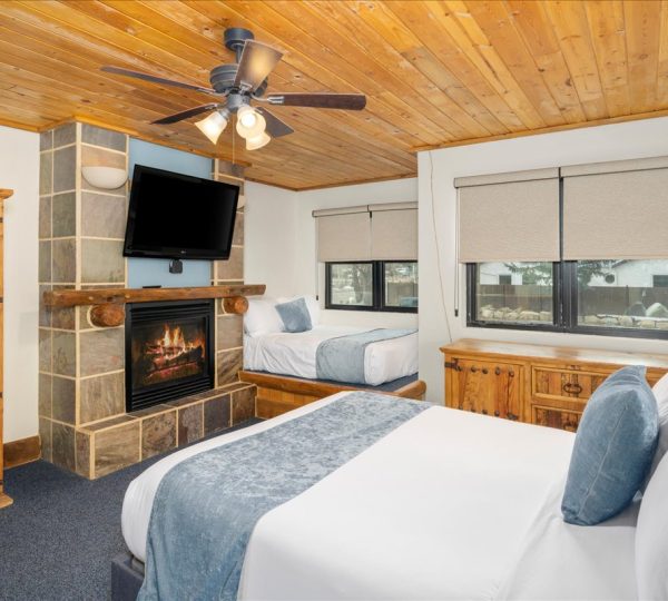Studio Suite