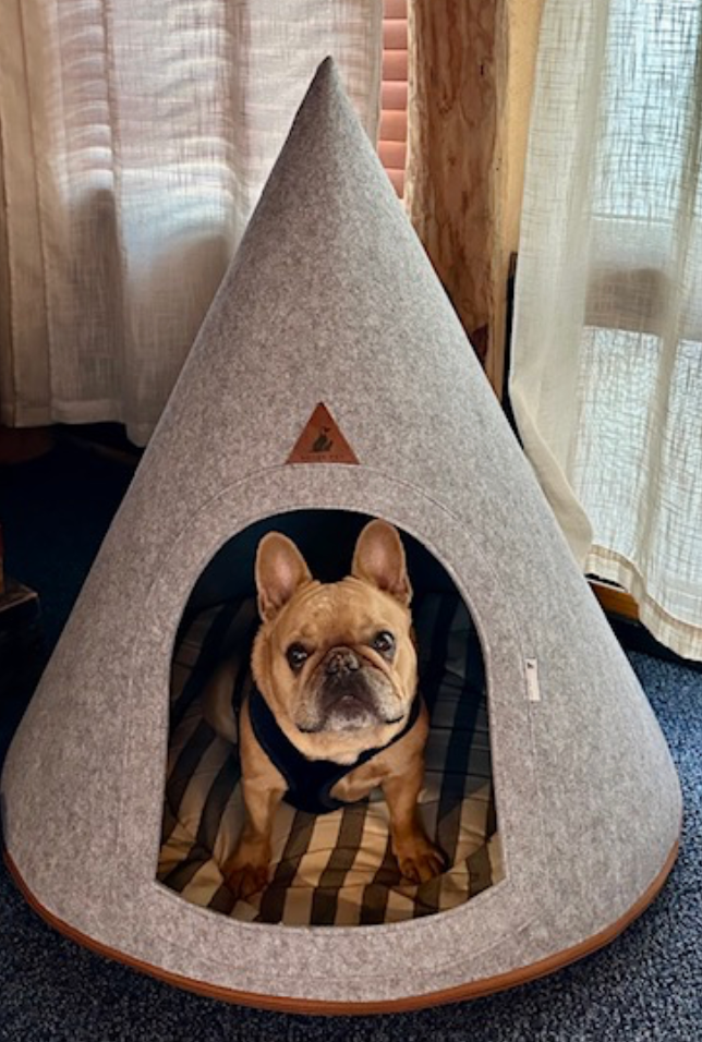 CHIP_Cash-Pup-Teepee - Chipeta Lodge Resort + Spa