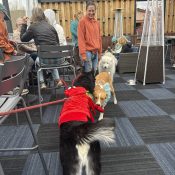 Yappy Hour Party at Rooftop at Chipeta Lodge Resort + Rooftop