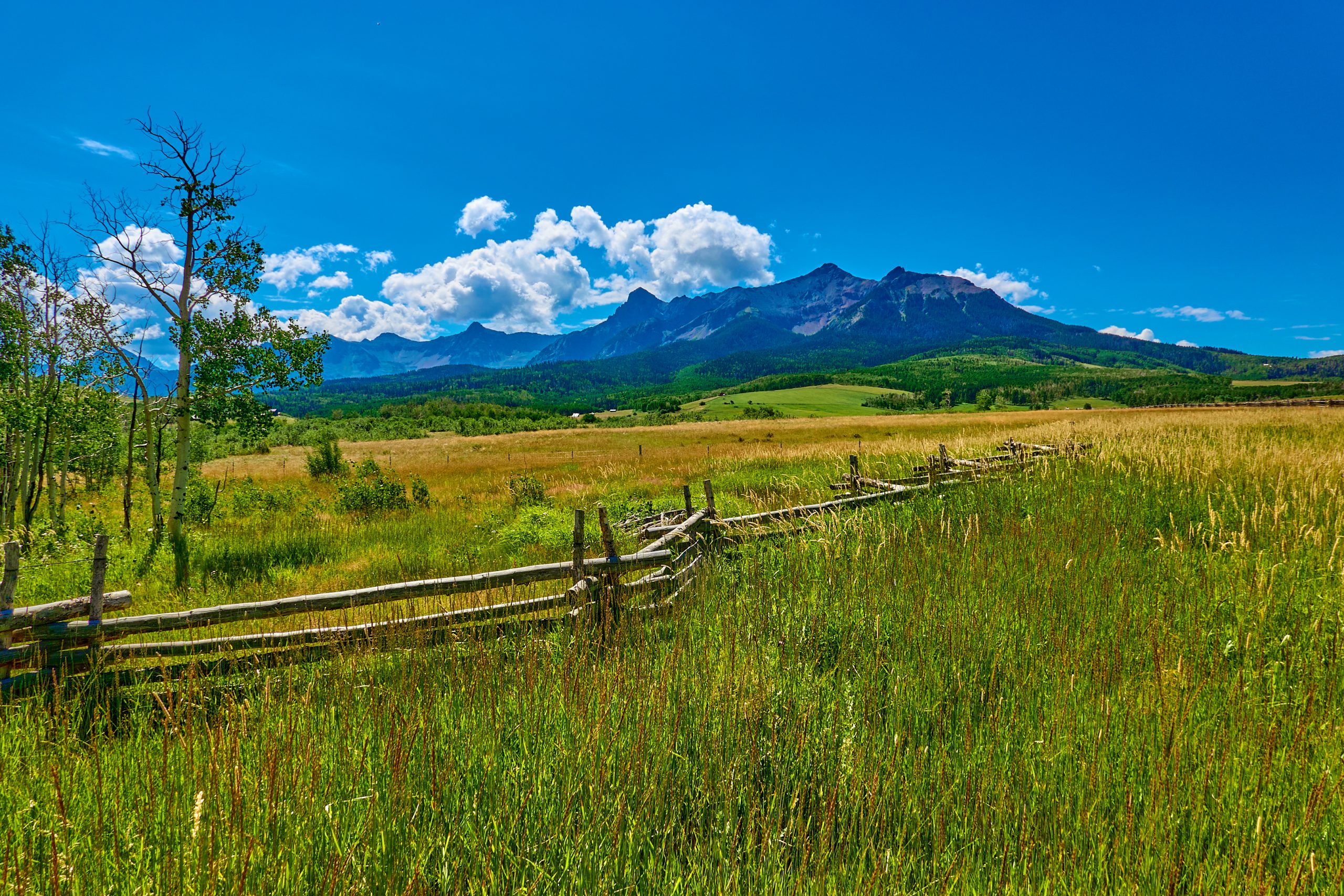Chipeta_Meadow-Sneffels - Chipeta Lodge Resort + Spa Alpine meadow with fence and view of Mount Sneffels Range in the background, near Chipeta Lodge Resort + Spa