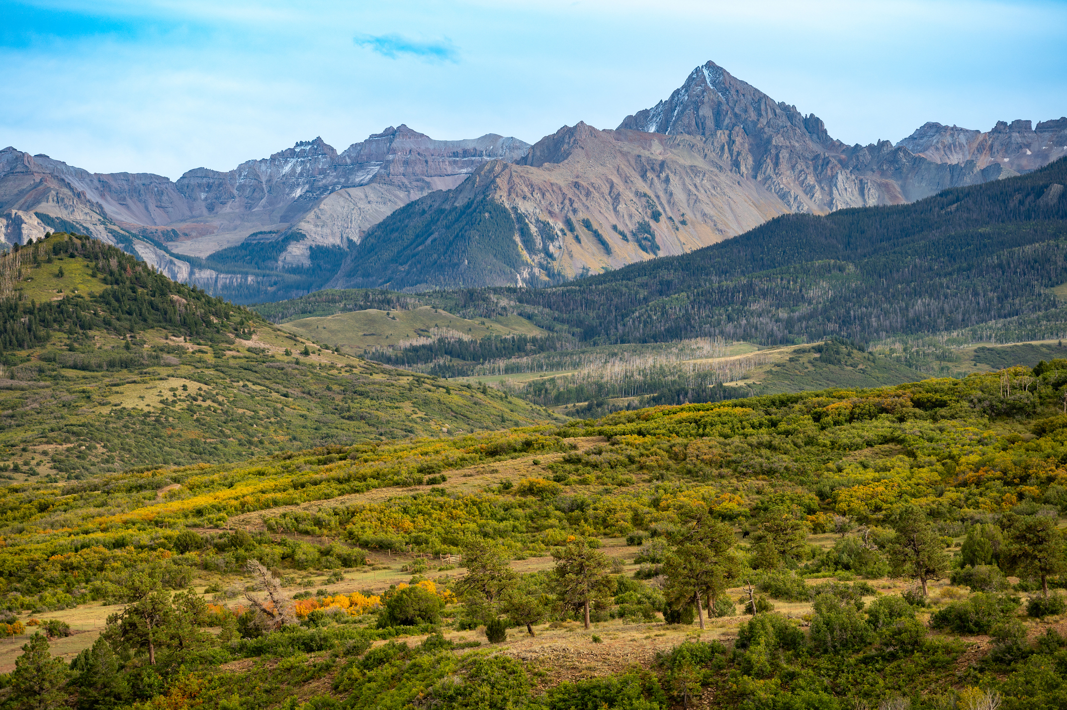 Wide valley with rolling grassy hills and dense evergreen forests, backed by jagged mountain peaks under a blue sky