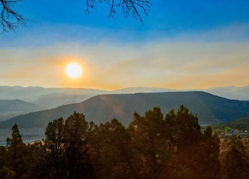 Sunrise over rolling hills with pine trees in the foreground and a blue sky above the hazy valley.