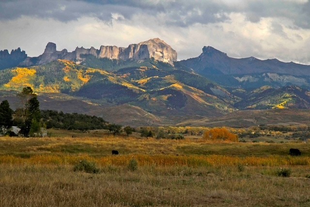 Golden grassland in the foreground with a rugged mountain range under a cloudy sky; a few cows graze in the field.