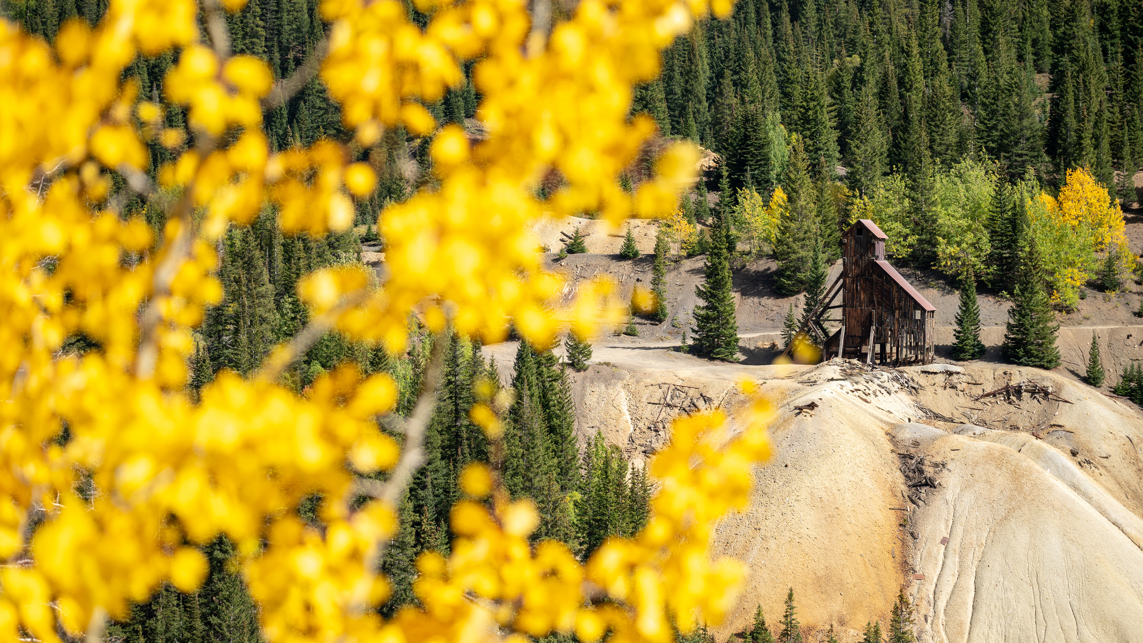 Abandoned Idarado gold mine house on the hill with yellow aspen in fall season in the foreground. View from red mountain mining overlook on the Million Dollar Highway, near Chipeta Lodge Resort + Spa