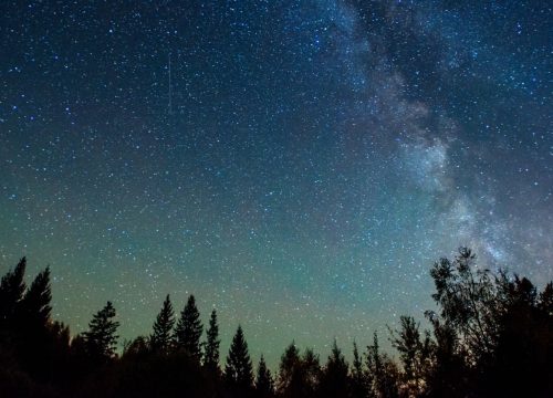 Star-filled night sky with the Milky Way visible above silhouetted trees at the horizon.